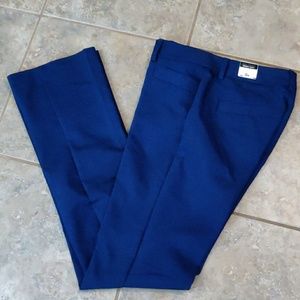 Express Navy Columnist Pant